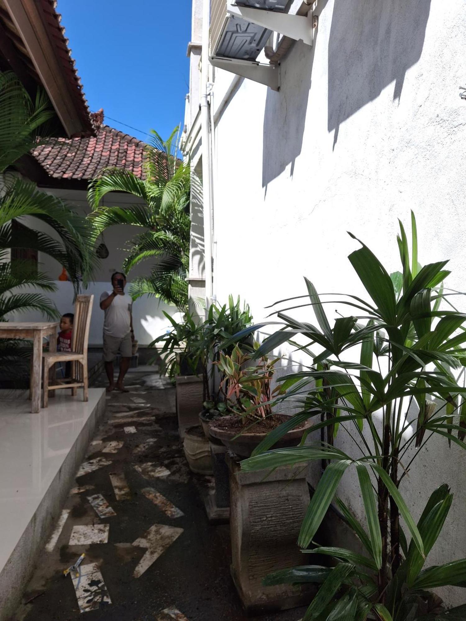 Adore guesthouse Amed Værelse billede